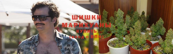 твердый Алзамай