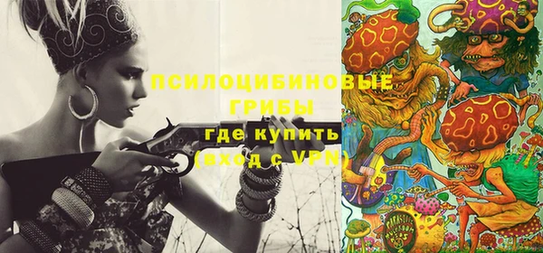 твердый Алексеевка