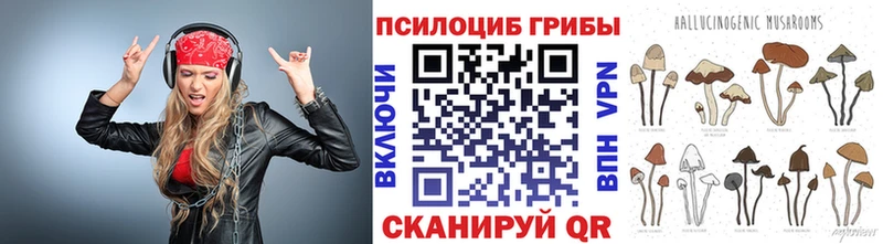 как найти закладки  МЕГА ссылки  Псилоцибиновые грибы мицелий  Усинск 